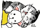 Chat endormi