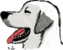 Chien amical