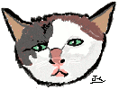 Portrait d'un chat