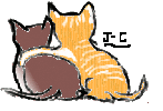 Chat amitié