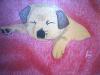 Chien endormi